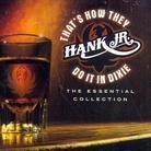 Hank Williams Jr. - That's How They Do It In Dixie