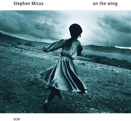 Stephan Micus - On The Wing