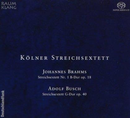 Das Koelner Streichsextett & Adolf Busch - Sextett Nr1 Op18