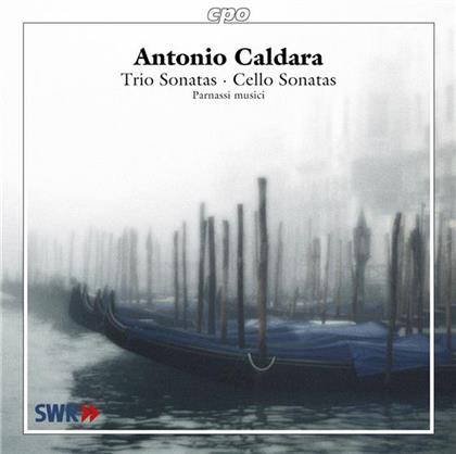 Parnassi Musici (Historische Instr.) & Antonio Caldara (1670-1736) - Chiacona Op2/12, Sonate Fuer C