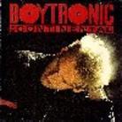 Boytronic - Continental