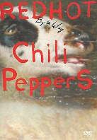Red Hot Chili Peppers - By the way (Single)