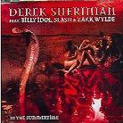 Derek Sherinian - In The Summertime