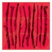 Cale Parks - Illuminated Manuscript