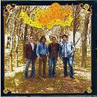 The Dolly Rocker Movement - Electric Sunshine