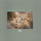 Ben Monder - Flux