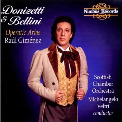 Raul Gimenez (Tenor) & Various - Don Pasquale, Favorita, Fille