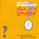 David Lowe - What Is In Between