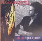 David Frizzell - My Life Is Just A Bridge