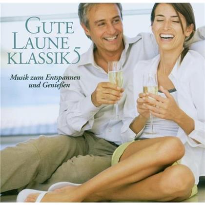 Various & Various - Gute Laune Klassik 5 (2 CDs)