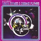 Disco Trance & Cosmic Flavas - Various (2 CDs)