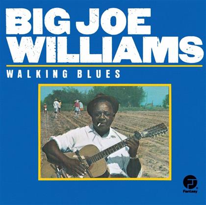Big Joe Williams - Walking Blues