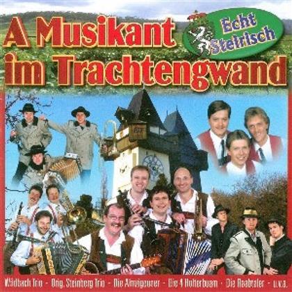 A Musikant Im Trechtene'wand - Various