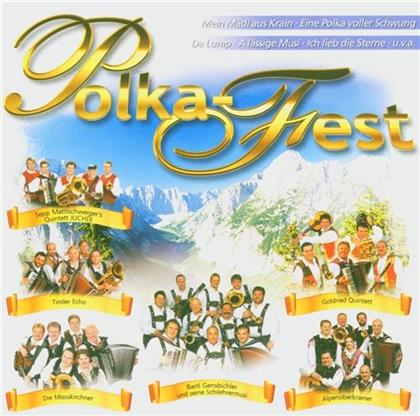 Polka Fest - Various