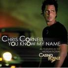Chris Cornell (Soundgarden/Audioslave) - You Know My Name
