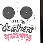 Feathers - Synchromy