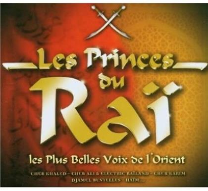Les Princes Du Rai - Various