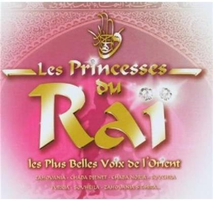 Princesses Du Rai - Various - Vol. 01