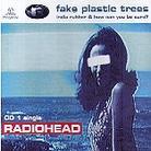 Radiohead - Fake Plastic Trees 1