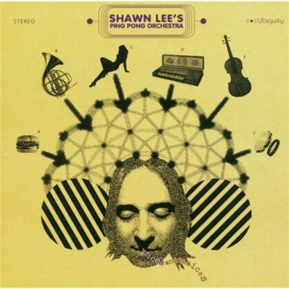 Shawn Lee - Voices And Choices