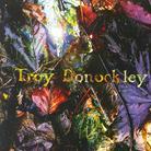 Troy Donockley - Unseen Stream (Remastered)