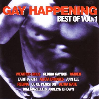 Gay Happening - Best Of 1