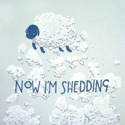 Shedding - Now I'm Shedding