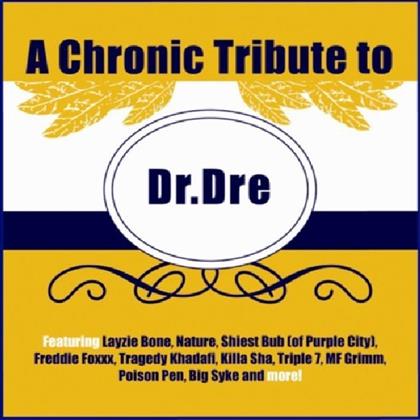 Tribute To Dr. Dre - Chronic