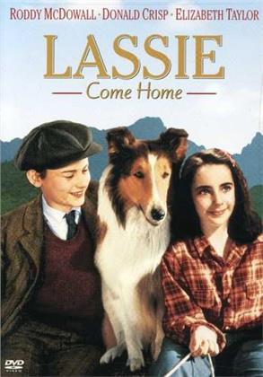Lassie come home (1943)