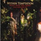 Within Temptation - What Have You Done - 2Track