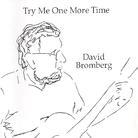 David Bromberg - Try Me One More Time