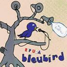 Bleubird - Rip Usa - Birdfleu