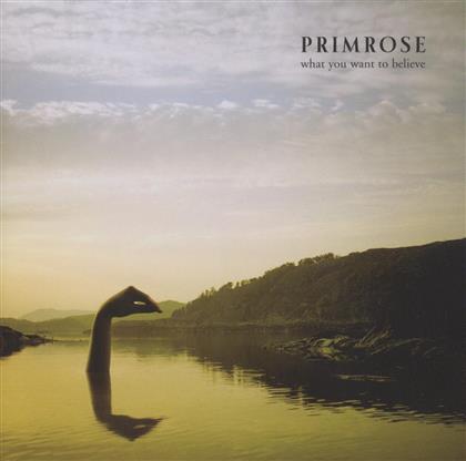 Primrose - What You Want To Believe