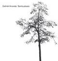 Gabriel Ananda - Bambusbeats