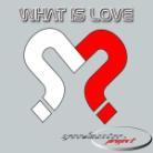 Speedmaster Project - What Is Love 2007