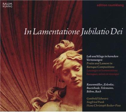 Gotthold Schwarz & Various - In Lamentatione Jubilatio Dei