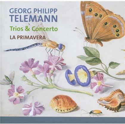 La Primavera & Georg Philipp Telemann (1681-1767) - Quartett Fuer Floete Twv43:A3,