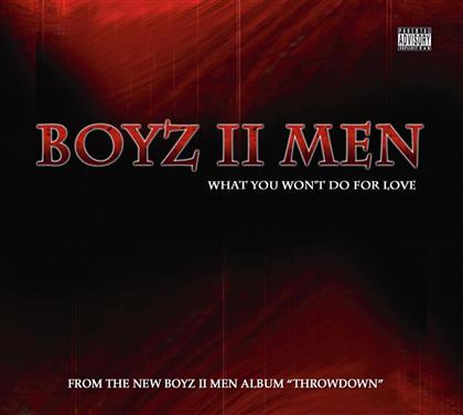 Boyz II Men - What You Won T Do For Love