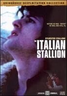 The Italian Stallion