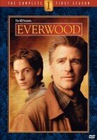 Everwood - Season 1 (6 DVDs)