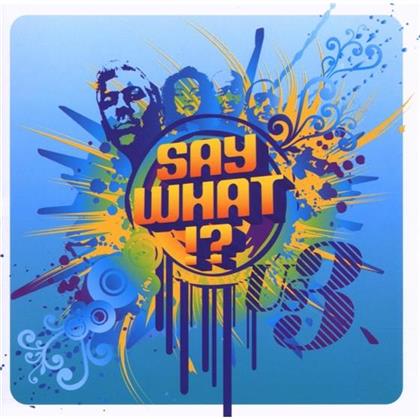 US3 - Say What