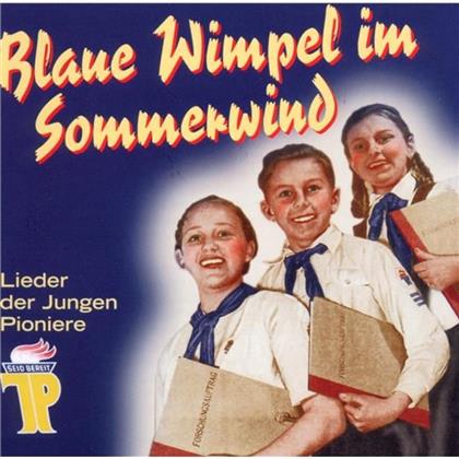 Rundfunk-Kinderchor Berlin & Richter Wolfgang/Naumikat Hans - Blaue Wimpel Im Sommerwind