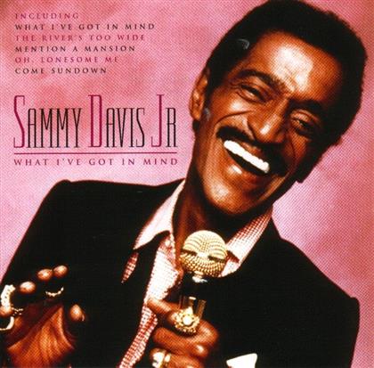 Sammy Davis Jr. - What I've Got In Mind