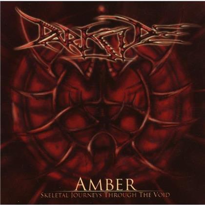 Darkside - Amber: Skeletal Journeys Through