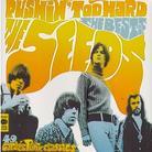 The Seeds - Pushin' Too Hard - Best Of (2 CDs)