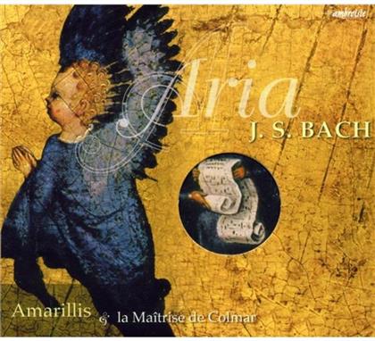 Ens Amarillis & Johann Sebastian Bach (1685-1750) - Arias
