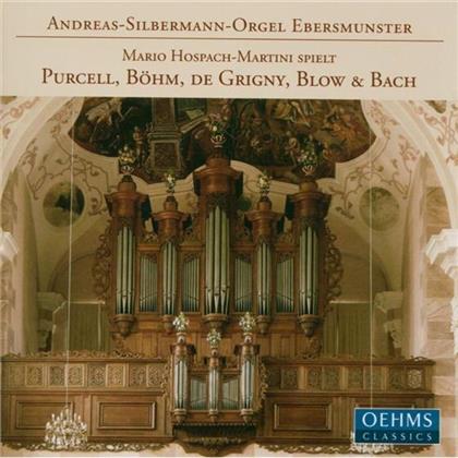 Hospach-Martini & Diverse Orgel - Rezital