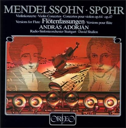 András Adorján & Mendelssohn/Spohr - Violinkonzert (Flötenfassung)