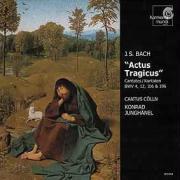 Cantus Cölln & Johann Sebastian Bach (1685-1750) - Kantaten Bwv4,12,106