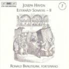 Ronald Brautigam & Haydn - Keyboard Son.Vol. 7